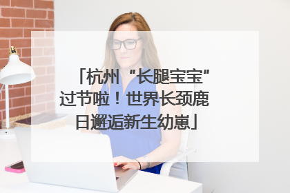 杭州“长腿宝宝”过节啦！世界长颈鹿日邂逅新生幼崽