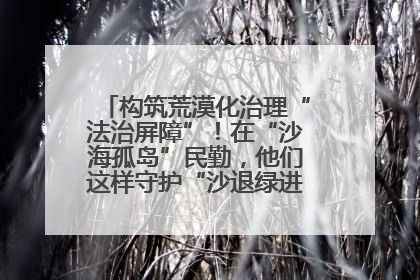 构筑荒漠化治理“法治屏障”！在“沙海孤岛”民勤，他们这样守护“沙退绿进”的生态奇迹