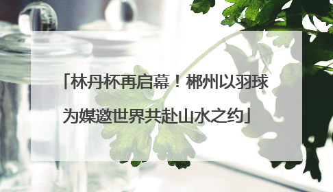 林丹杯再启幕！郴州以羽球为媒邀世界共赴山水之约