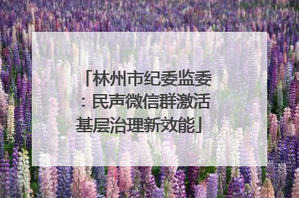 林州市纪委监委：民声微信群激活基层治理新效能