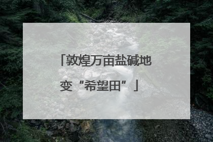 敦煌万亩盐碱地变“希望田”