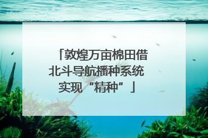 敦煌万亩棉田借北斗导航播种系统实现“精种”