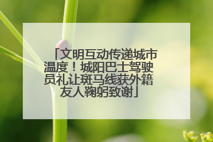 文明互动传递城市温度！城阳巴士驾驶员礼让斑马线获外籍友人鞠躬致谢