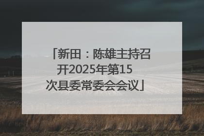 新田：陈雄主持召开2025年第15次县委常委会会议