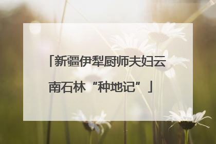 新疆伊犁厨师夫妇云南石林“种地记”