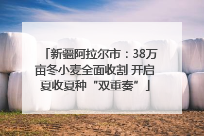 新疆阿拉尔市：38万亩冬小麦全面收割 开启夏收夏种“双重奏”