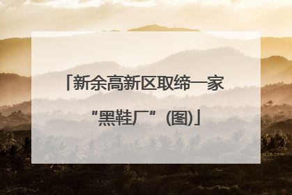 新余高新区取缔一家“黑鞋厂”(图)