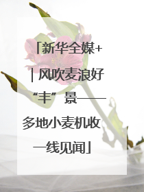 新华全媒+｜风吹麦浪好“丰”景——多地小麦机收一线见闻