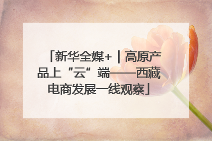 新华全媒+｜高原产品上“云”端——西藏电商发展一线观察