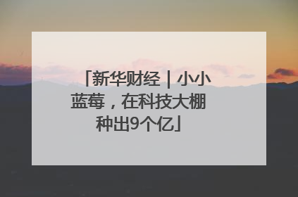 新华财经｜小小蓝莓，在科技大棚种出9个亿