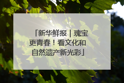 新华鲜报｜瑰宝更青春！看文化和自然遗产新光彩