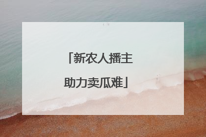 新农人播主 助力卖瓜难