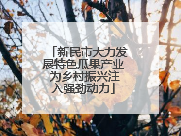 新民市大力发展特色瓜果产业 为乡村振兴注入强劲动力