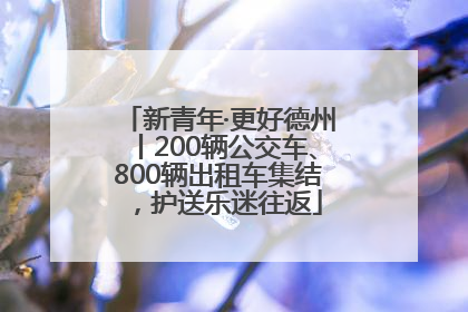 新青年·更好德州丨200辆公交车、800辆出租车集结，护送乐迷往返