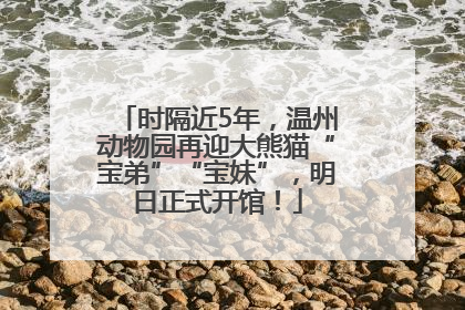 时隔近5年，温州动物园再迎大熊猫“宝弟”“宝妹”，明日正式开馆！