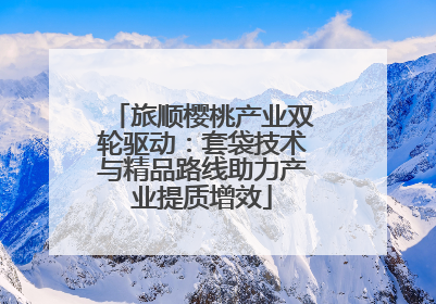 旅顺樱桃产业双轮驱动：套袋技术与精品路线助力产业提质增效