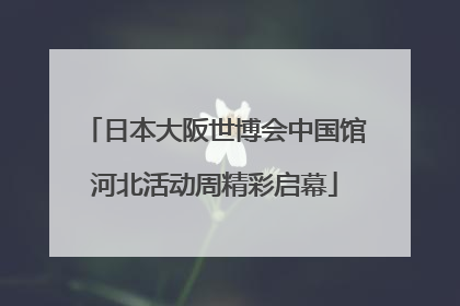 日本大阪世博会中国馆河北活动周精彩启幕