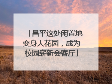 昌平这处闲置地变身大花园，成为校园崭新会客厅