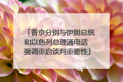 普京分别与伊朗总统和以色列总理通电话 强调重启谈判重要性