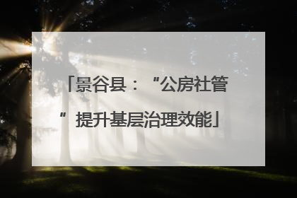 景谷县：“公房社管”提升基层治理效能
