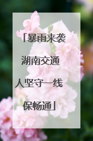 暴雨来袭 湖南交通人坚守一线保畅通