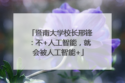 暨南大学校长邢锋：不+人工智能，就会被人工智能+
