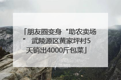 朋友圈变身“助农卖场” 武陵源区黄家坪村5天销出4000斤包菜
