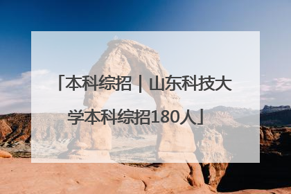 本科综招｜山东科技大学本科综招180人