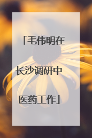 毛伟明在长沙调研中医药工作
