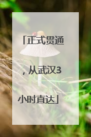 正式贯通，从武汉3小时直达