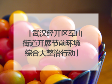 武汉经开区军山街道开展节前环境综合大整治行动