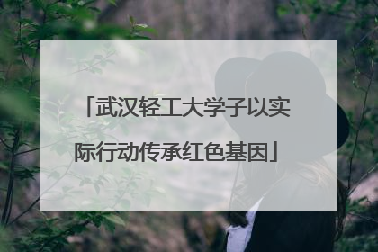 武汉轻工大学子以实际行动传承红色基因