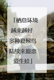 栖息环境越来越好 多种夏候鸟陆续来厦恋爱生娃