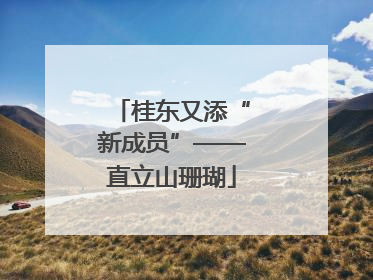 桂东又添“新成员”——直立山珊瑚