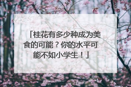 桂花有多少种成为美食的可能？你的水平可能不如小学生！