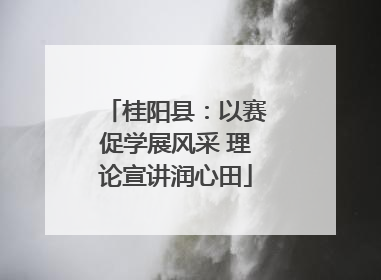 桂阳县：以赛促学展风采 理论宣讲润心田
