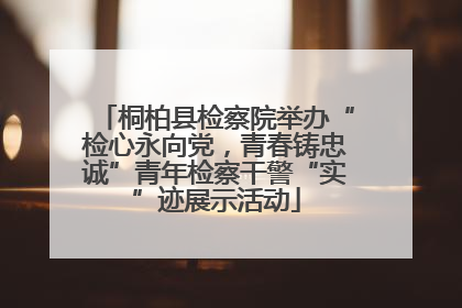 桐柏县检察院举办“检心永向党，青春铸忠诚”青年检察干警“实”迹展示活动