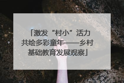 激发“村小”活力 共绘多彩童年——乡村基础教育发展观察