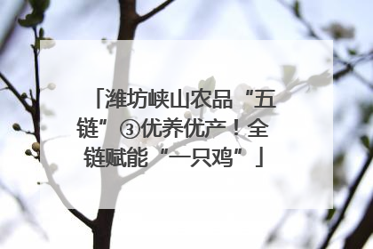 潍坊峡山农品“五链”③优养优产！全链赋能“一只鸡”