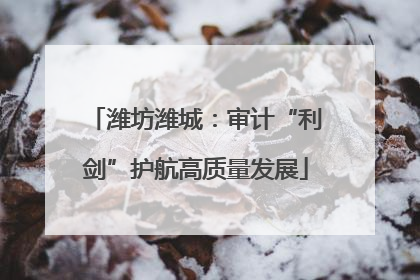 潍坊潍城：审计“利剑”护航高质量发展