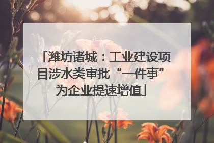 潍坊诸城：工业建设项目涉水类审批“一件事” 为企业提速增值