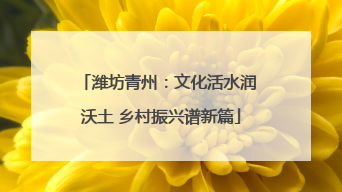 潍坊青州：文化活水润沃土 乡村振兴谱新篇