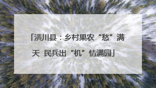 潢川县：乡村果农“愁”满天  民兵出“机”情满园