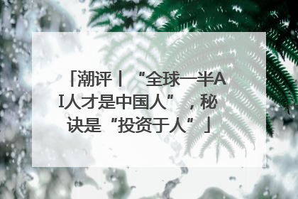 潮评丨“全球一半AI人才是中国人”，秘诀是“投资于人”