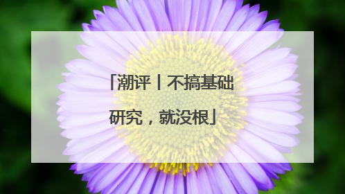 潮评丨不搞基础研究，就没根