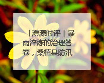 澧源时评｜暴雨淬炼的治理答卷，桑植县防汛一线的细节肌理与体系力量