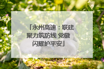 永州高速：联建聚力筑防线 党徽闪耀护平安