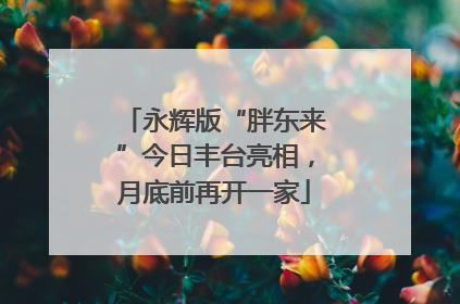 永辉版“胖东来”今日丰台亮相，月底前再开一家