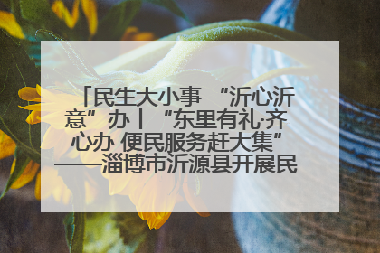 民生大小事 “沂心沂意”办丨“东里有礼·齐心办 便民服务赶大集”——淄博市沂源县开展民生政策宣传活动