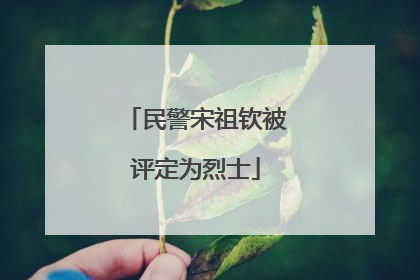 民警宋祖钦被评定为烈士